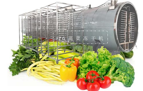 蔬菜冻干机工作原理和结构组成