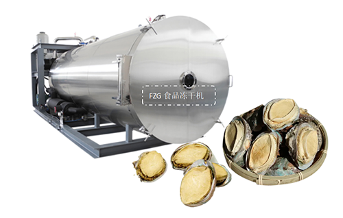 食品冻干机应用于海鲜鲍鱼冷冻干燥加工