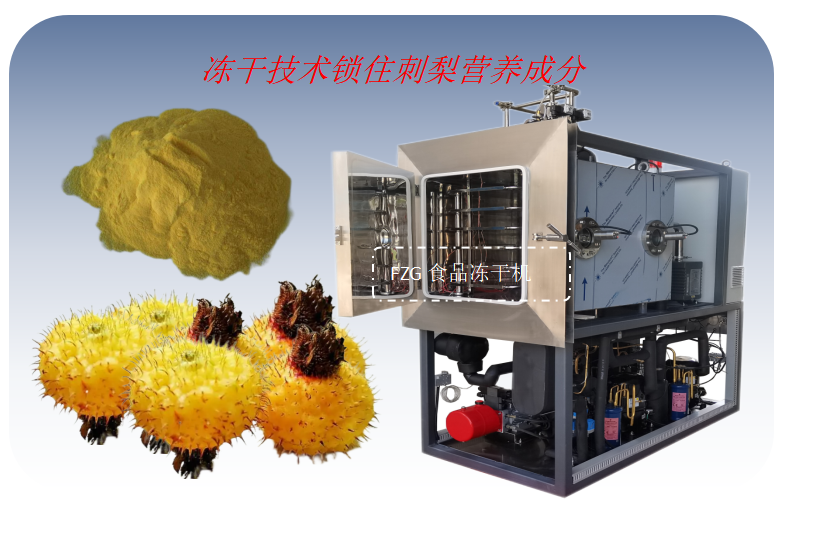 刺梨冻干粉加工流程和食品冻干机生产线