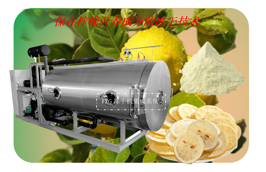 食品冻干机集成系统在柠檬冻干开发加工应用