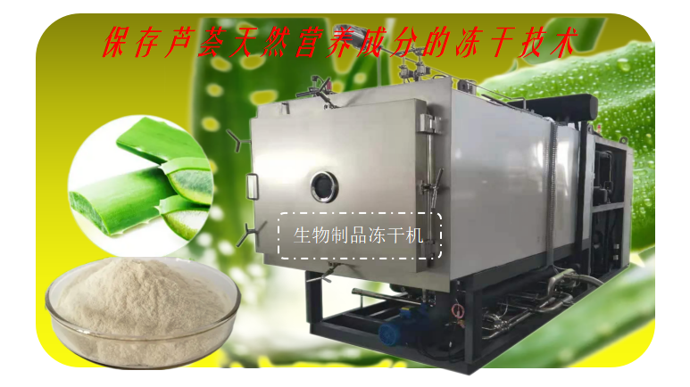 芦荟冻干粉冷冻干燥设备芦荟冻干机介绍