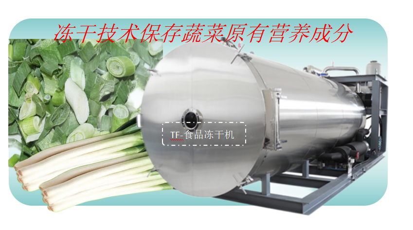 食品冻干机在大葱蔬菜冻干加工应用优势