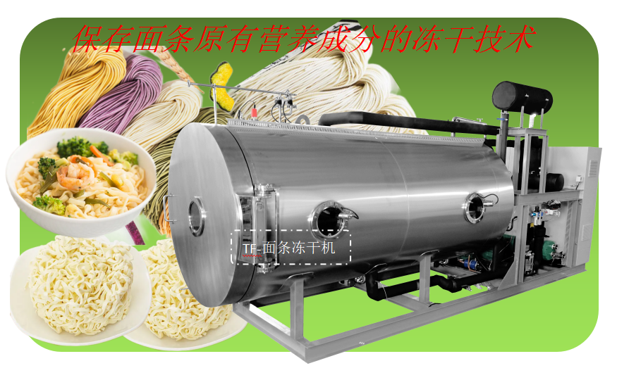 现代速食面冻干加工设备-上海食品冻干机