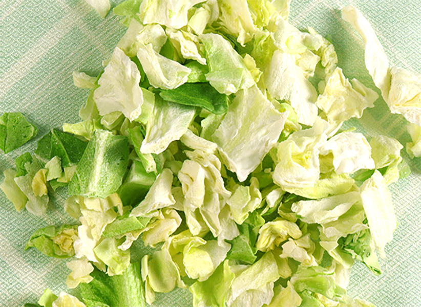 卷心菜冻干：蔬菜冷冻干燥机应用于卷心菜冻干应用案例